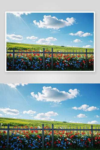 篱笆有鲜花蓝天高清特写图片
