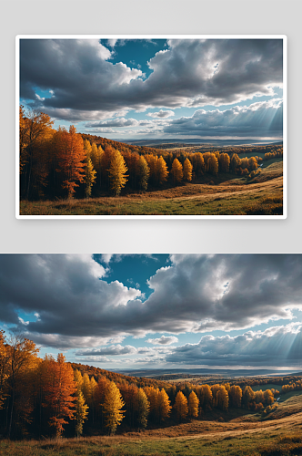 秋天天空衬托下全景景观高清特写图片