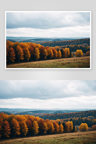 秋天树木映衬天空美景高清特写图片