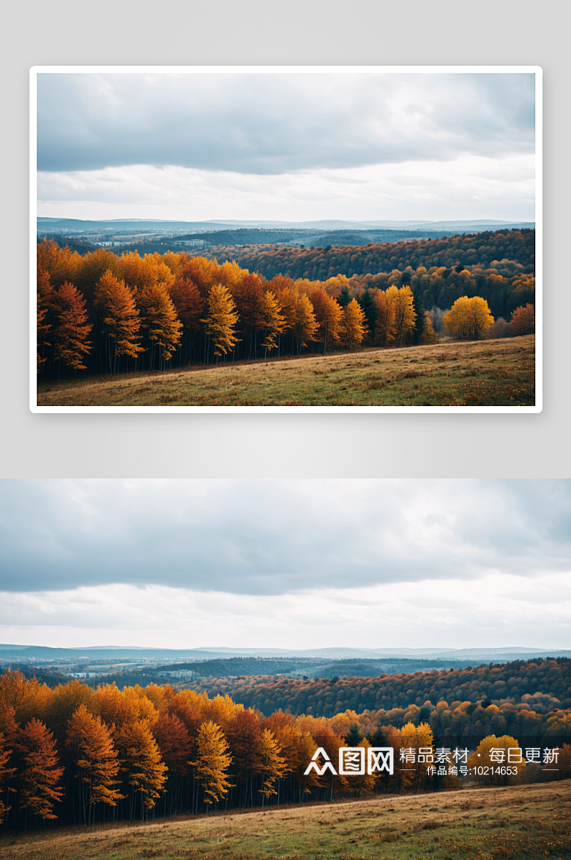 秋天树木映衬天空美景高清特写图片素材