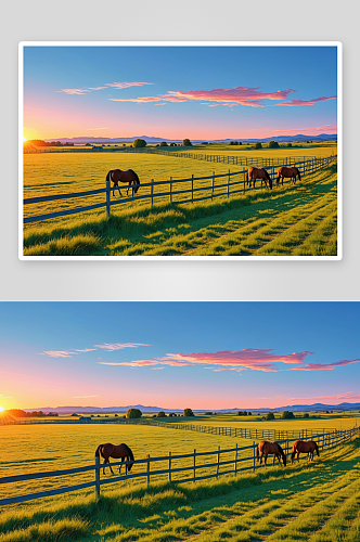 日落时农村空马用围栏放牧牧场图片