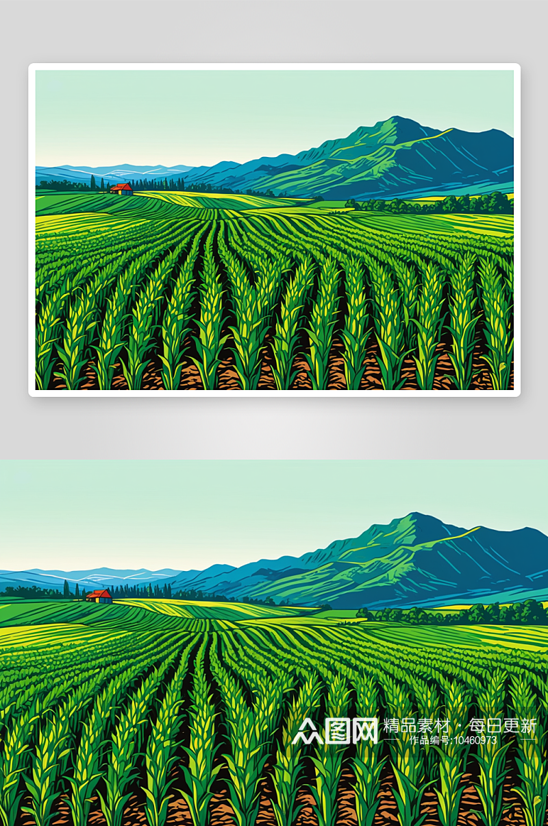 绿色玉米秸秆地里生长图片素材