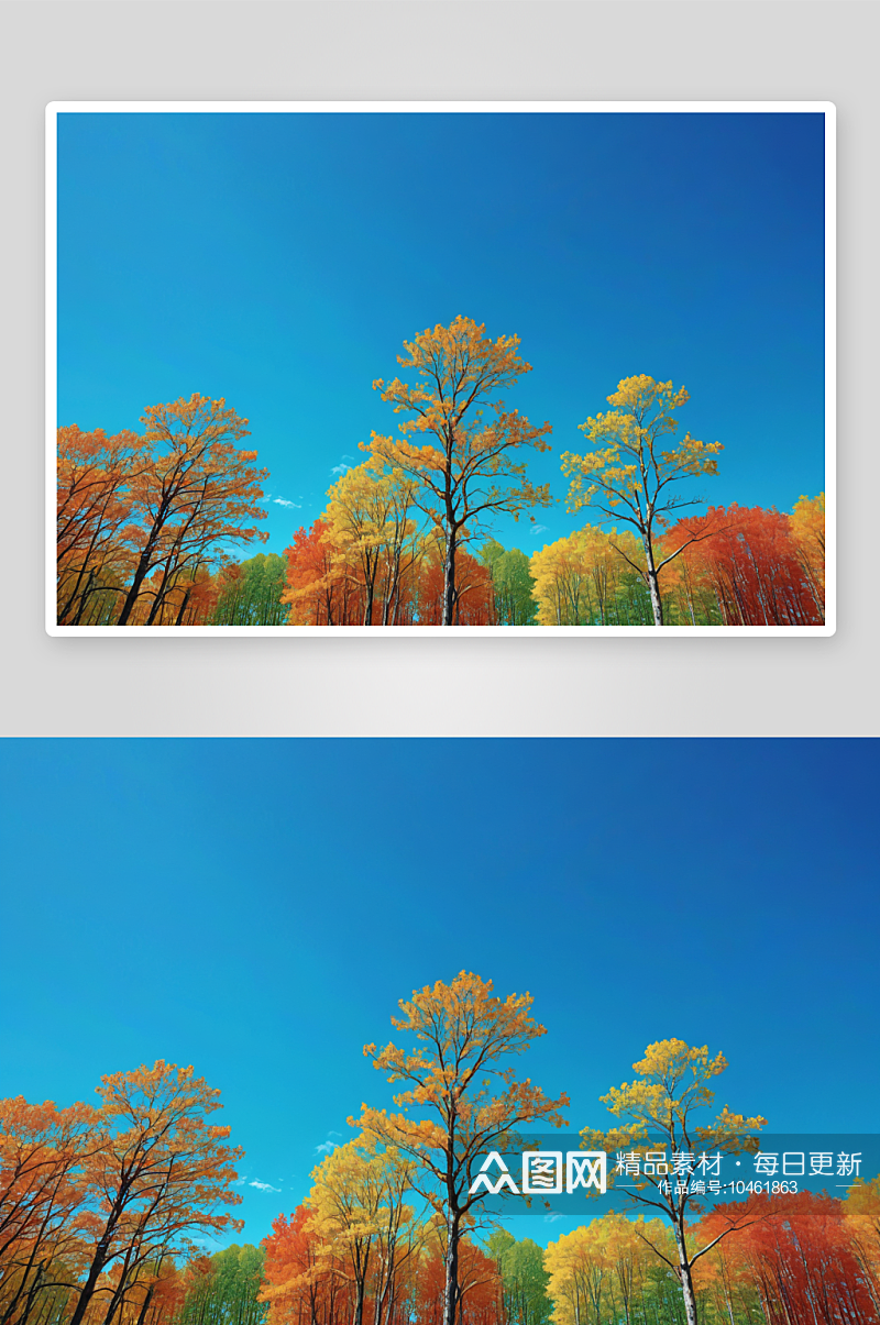 公园湛蓝天空下田野树木低角度视图图片素材
