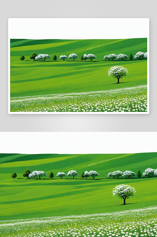 树木绿色草地盛开着白色花朵树白花图片