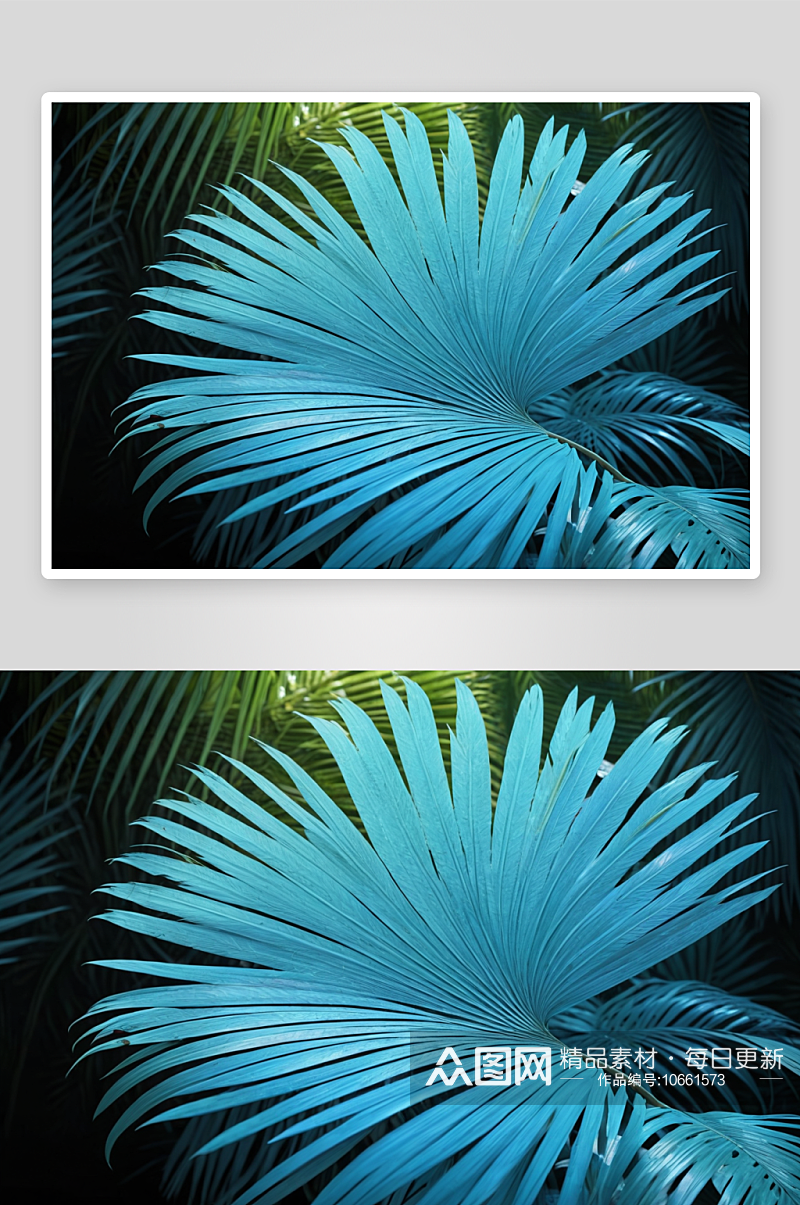 抽象棕榈叶创意背景图片素材