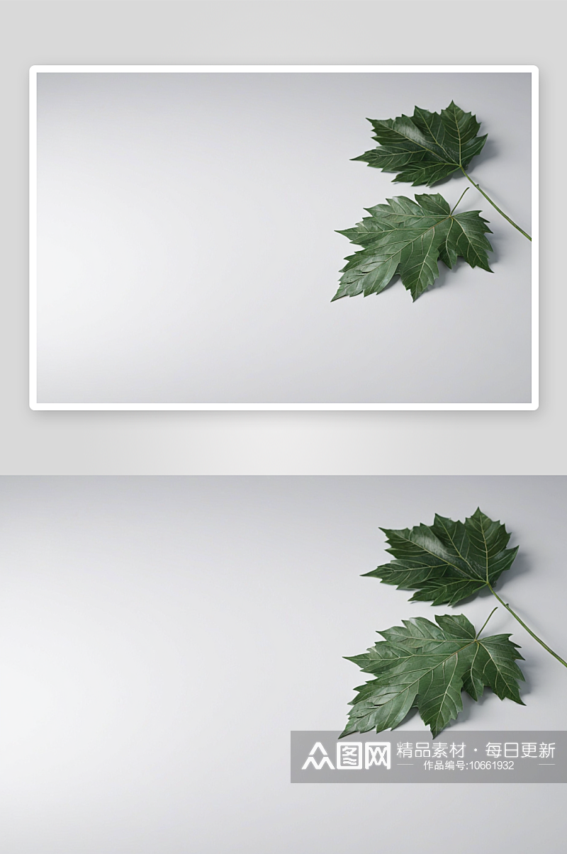 白色静物场景叶子背景广告素材图图片素材