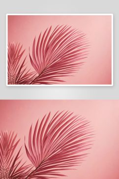 模糊棕榈叶阴影墙粉彩背景图片