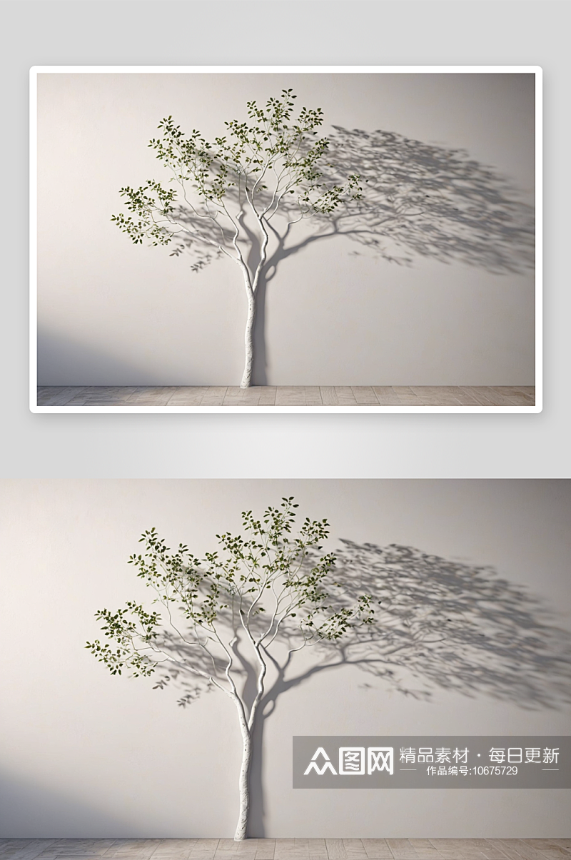 植物影子白色广告背景墙树影图片素材