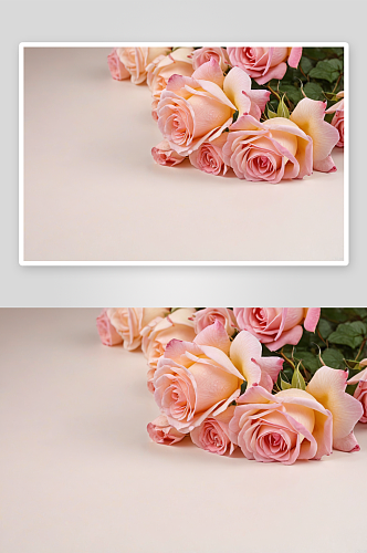 花背景园艺设计元素玫瑰图片