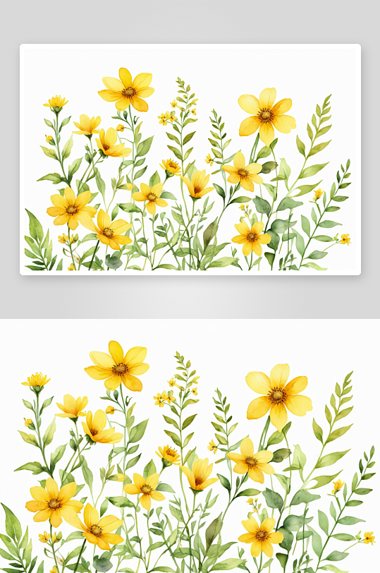 边框黄色水彩画野花叶子夏季插图图片
