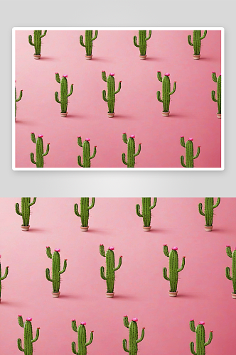 粉红色背景绿色仙人掌行插图图片