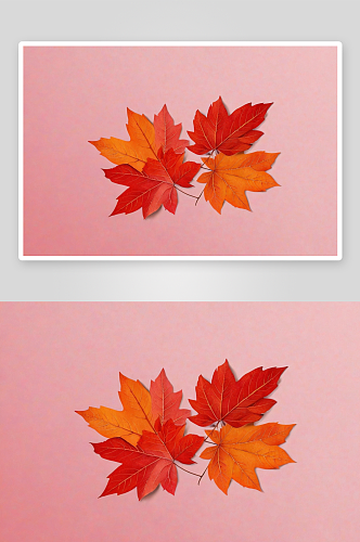 红色橙色秋叶粉红色背景秋天名片图片