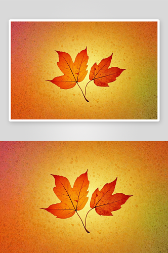 多彩叶子剪影背景图片