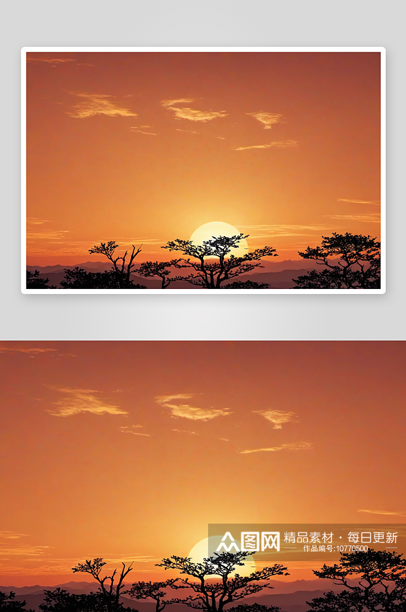 谷穗剪影背景中夕阳天空图片素材