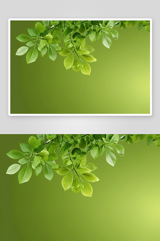 春天鲜叶植物元素图片