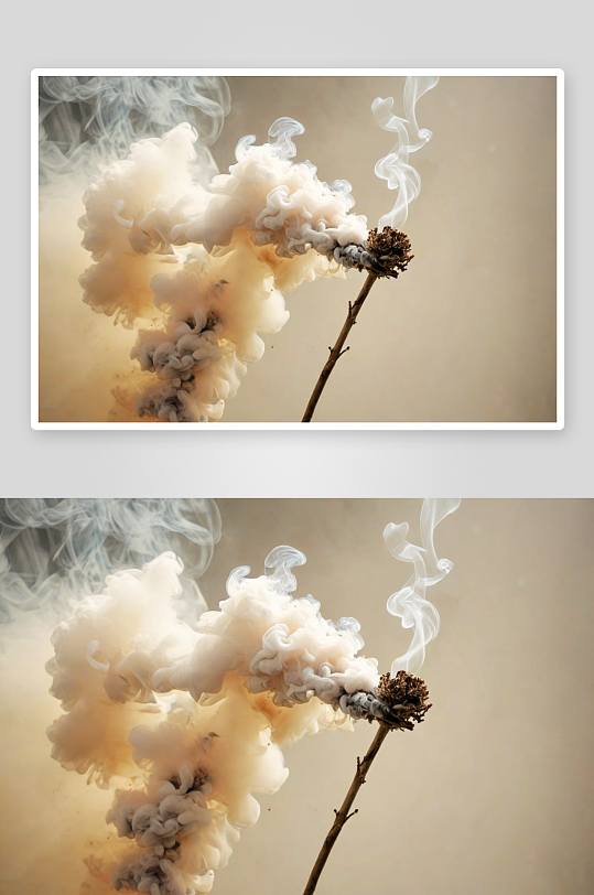 干花烟雾中燃烧生态问题图片