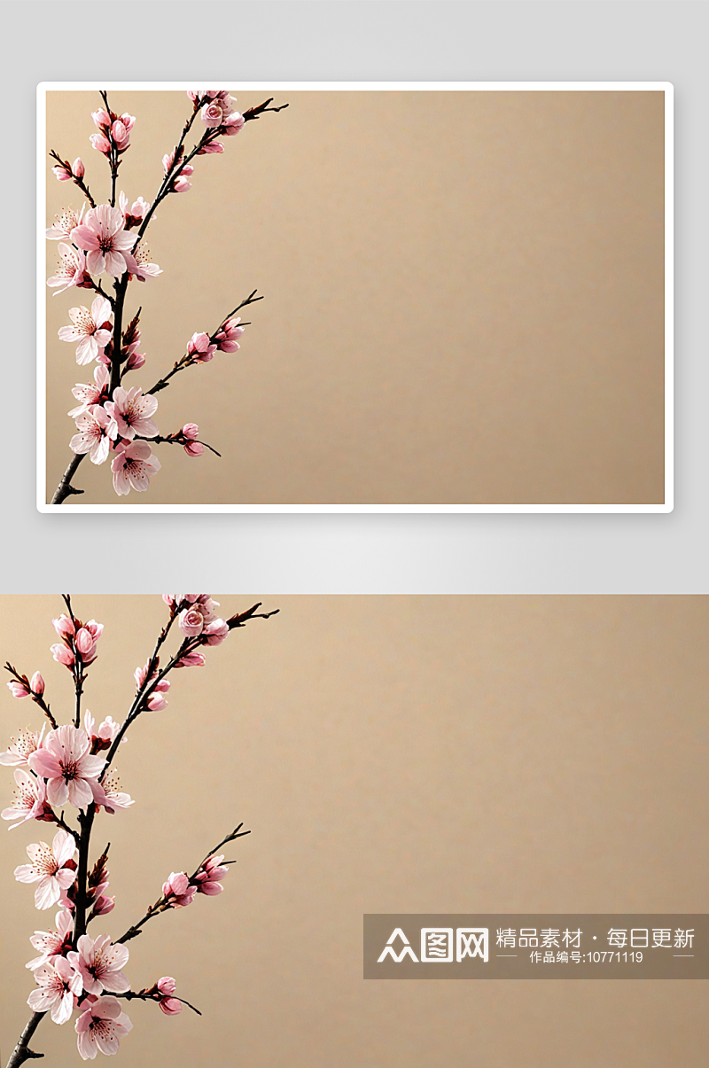 春花樱花枝米色背景图片素材