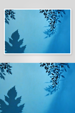 抽象背景蓝色石膏墙叶影春季夏季图片