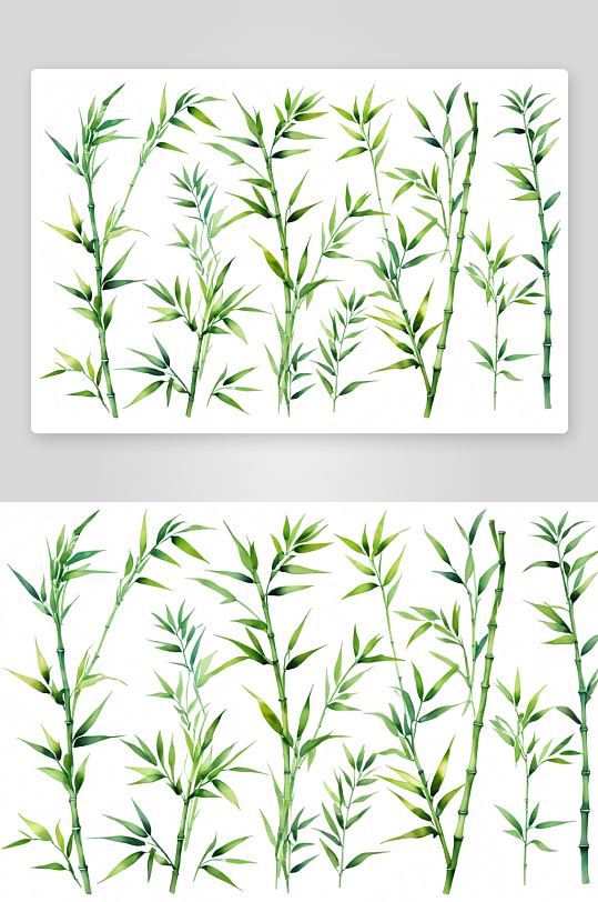 绿色竹叶水彩画白色背景孤立植物元素图片