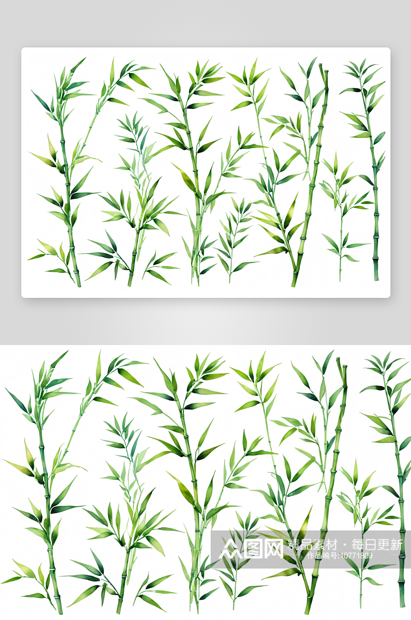 绿色竹叶水彩画白色背景孤立植物元素图片素材