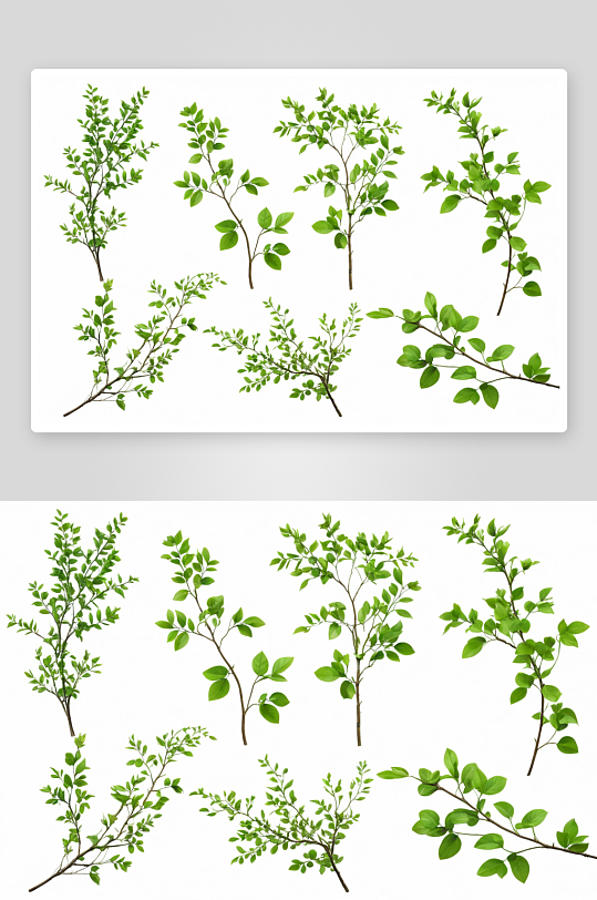 绿色树枝植物元素图片