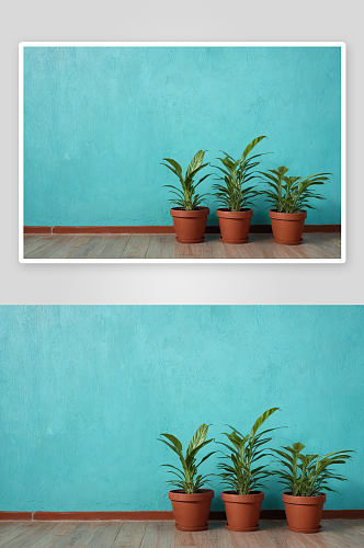 绿松石墙前面有植物背景空间图片