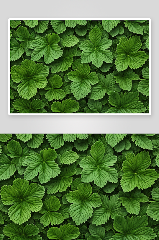 绿色多汁草莓叶固体地毯自然背景图片
