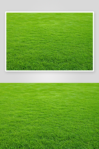 绿色草坪自然绿色背景图片