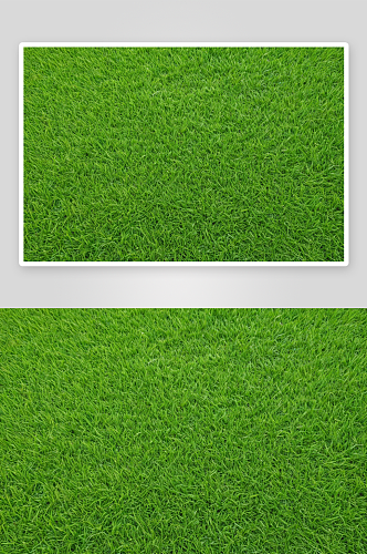 绿色草坪背景图片