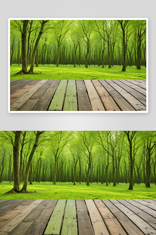 空木平台春绿森林背景图片