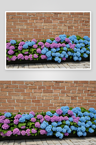 绣球花墙植物元素图片