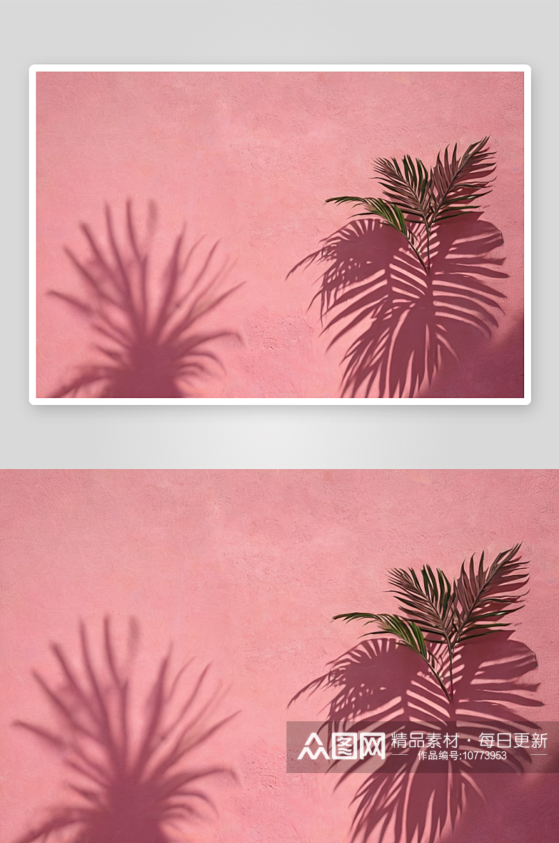 热带树叶阴影粉红色墙美丽石膏纹理图片素材