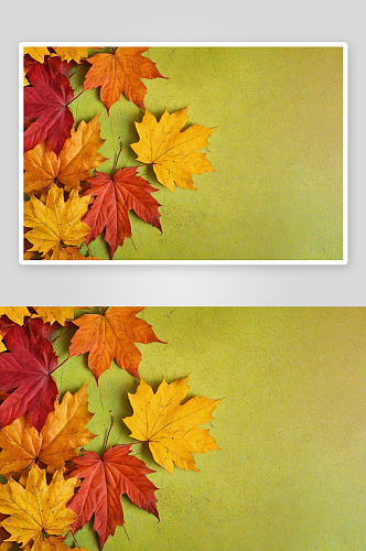 秋叶映衬着五彩缤纷背景图片