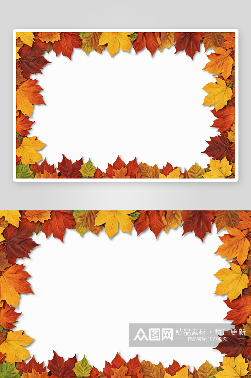 秋叶矩形框架图片素材