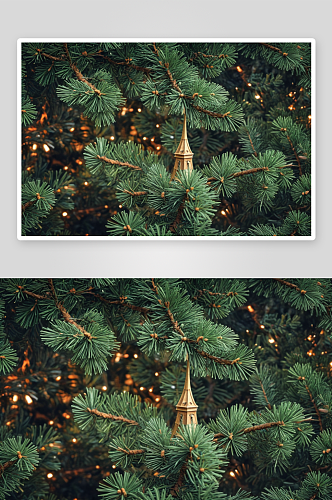 松树尖顶作圣诞节背景图片