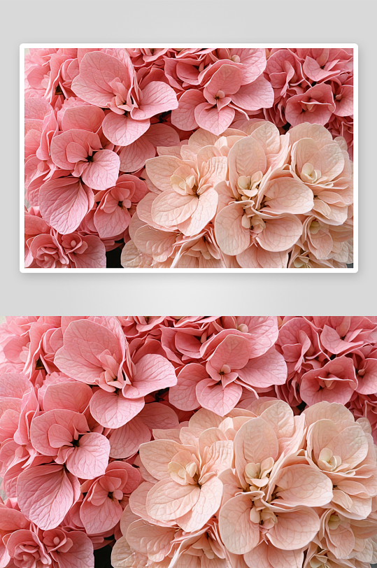 人造塑料丝绣球淡粉色绣球花图像图片
