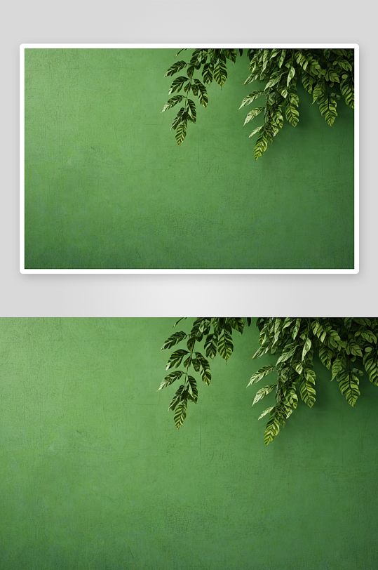 菩提叶阴影明亮绿色混凝土墙纹理背景图片