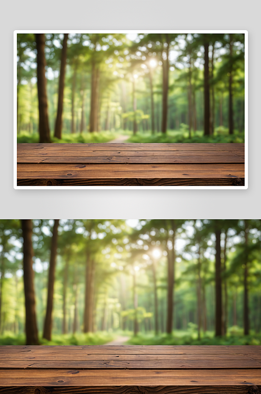 木桌森林散景横幅图片