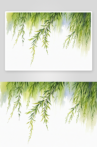 水彩画柳树植物元素图片