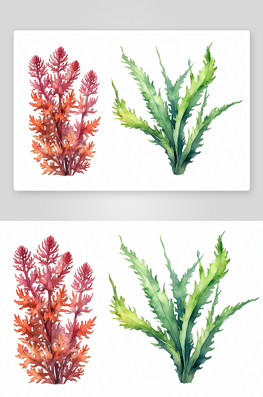 水彩海杂草植物元素图片