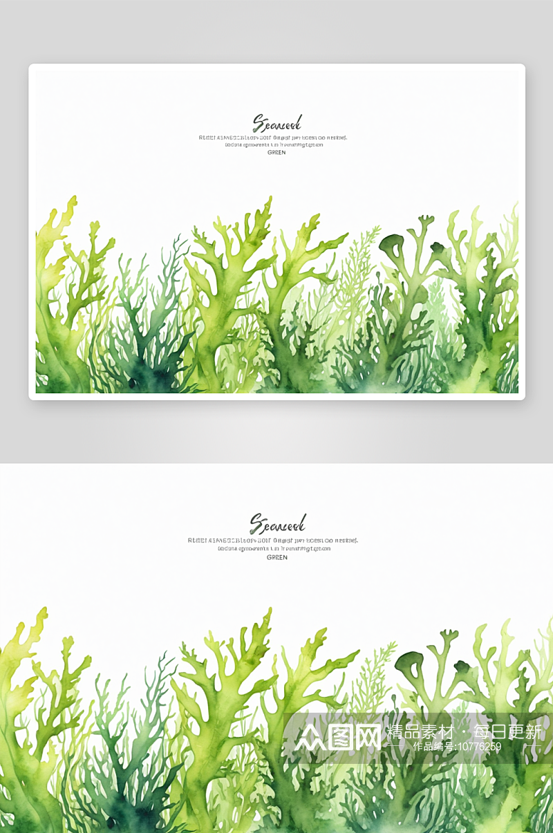 手绘水彩藻类边界不同类型海藻深浅绿色图片素材