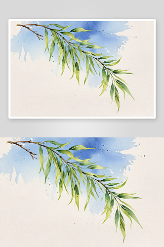 手绘水彩春季柳叶明信片素材元素插画图片