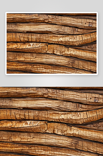 棕榈树树皮纹理作设计元素图片