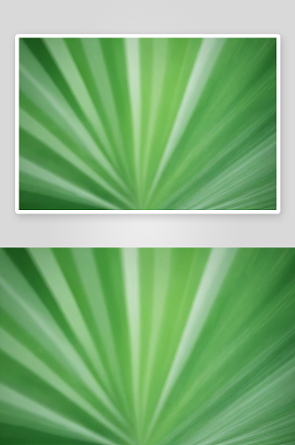 自然绿色背景纹理离焦条纹抽象背景图片