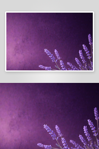 紫色背景淡紫色背景图片