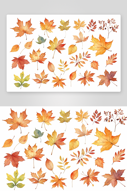 装饰秋季属性水彩栅格插图集图片
