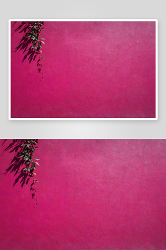 叶子影子紫红色混凝土墙纹理背景图片