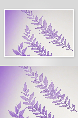 叶子颜色转变淡紫色白色图片