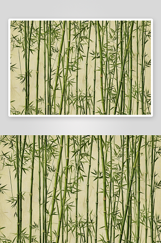 竹结构背景植物元素图片