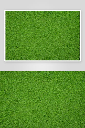 绿色草坪自然绿色背景图片